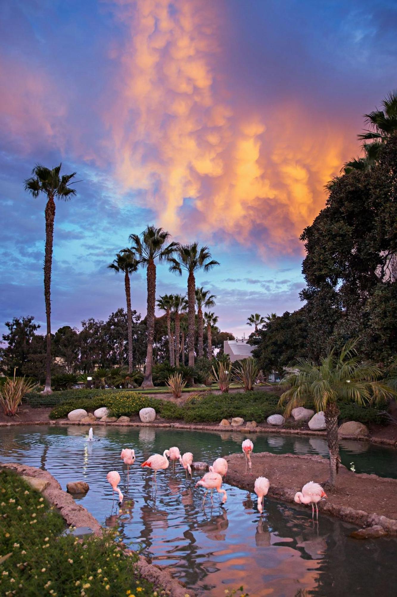 Coronado Island Marriott Resort & Spa San Diego Kültér fotó